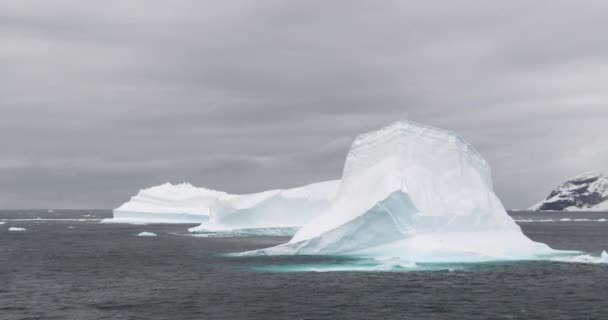 Isberg Havet Brun Bluff Antarktiska Halvön Antarktis — Stockvideo
