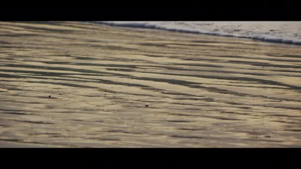 Gün Batımında Sahilde Deniz Dalgası Kuzey Devon Devon Ngiltere — Stok video