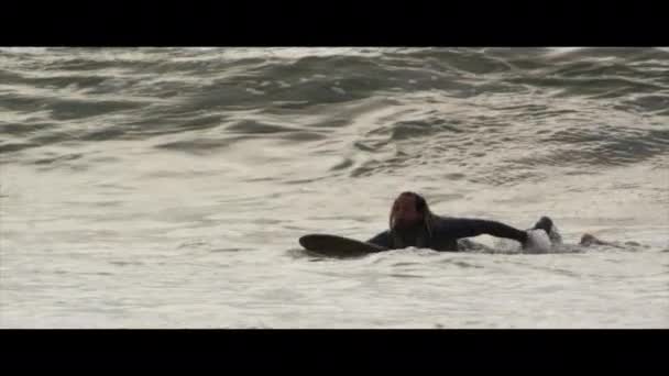 海の波に乗ってサーフィンする男 北デヴォン デヴォン イギリス — ストック動画