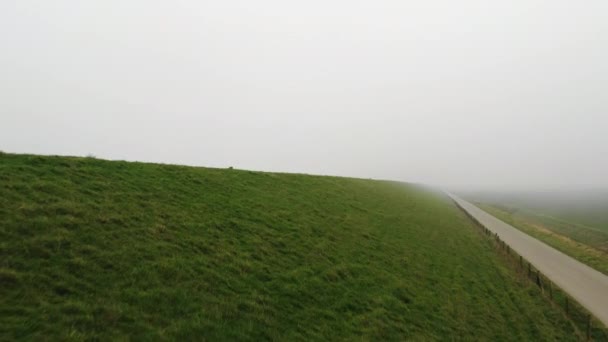霧の中で草の海岸 オランダのゼーランド州Yrseke — ストック動画