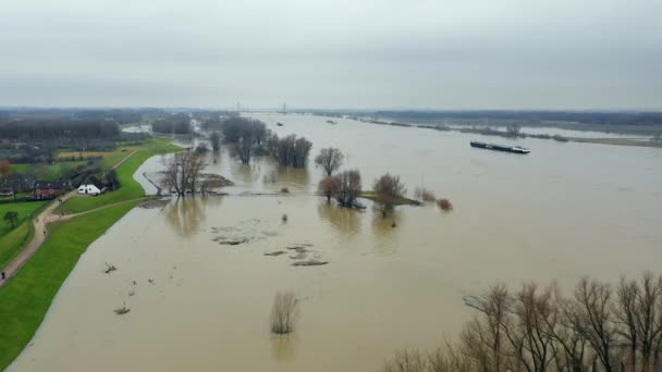 Πλημμυρισμένο Αγροτικό Τοπίο Ewijk Gelderland Κάτω Χώρες — Αρχείο Βίντεο