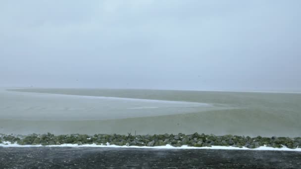 Wind Blaast Sneeuw Het Veld Zürich Friesland Nederland — Stockvideo