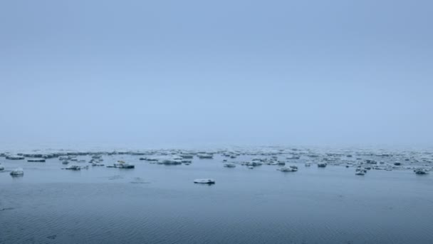 Noordzee Bedekt Met Ijsschotsen Nes Friesland Nederland — Stockvideo