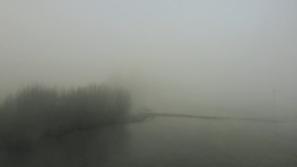 Rivière Arbres Nus Couverts Brouillard Brakel Pays Bas — Video