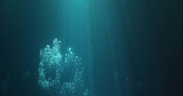 Sluneční Paprsky Bubliny Pod Vodou — Stock video