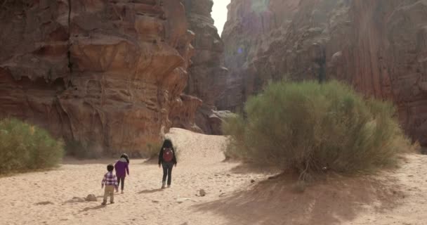 Rear View Family Walking Wadi Rum Desert Jordan — Stock Video