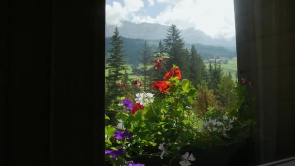 Πολύχρωμα Λουλούδια Στο Παράθυρο Του Τοπίου Alta Badia Ιταλία — Αρχείο Βίντεο