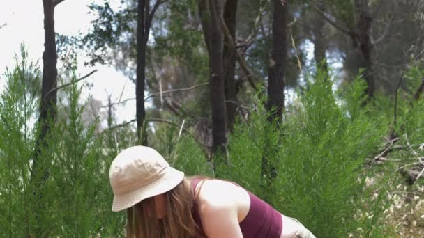 Mujer Joven Con Mochila Bosque Victoria Australia — Vídeos de Stock