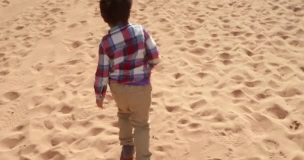 Çölde Bir Aile Wadi Rum Çölü Akabe Valiliği Ürdün — Stok video