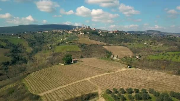 Colinas Con Viñedos San Gimignano Toscana Italia — Vídeo de stock