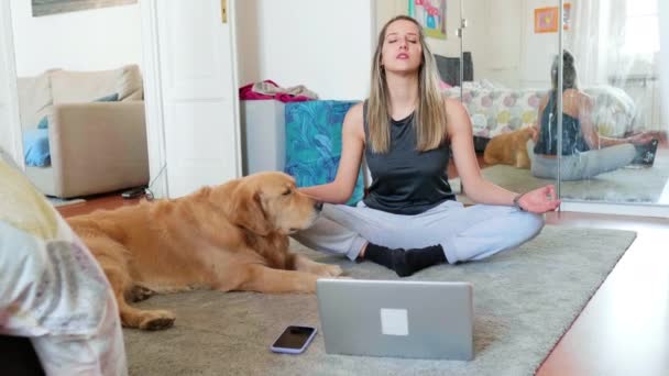 Golden Retriever Assisteren Vrouw Mediteren Voorkant Van Laptop — Stockvideo