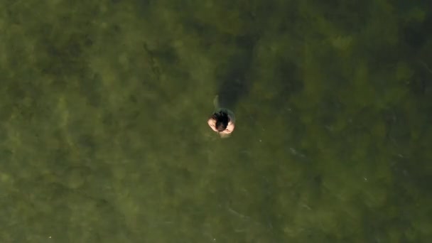 Woman Wading Shallow Water Breda Noord Brabant Netherlands — Stock Video