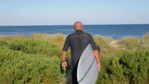 Vue Arrière Homme Portant Une Planche Surf Sur Côte — Video