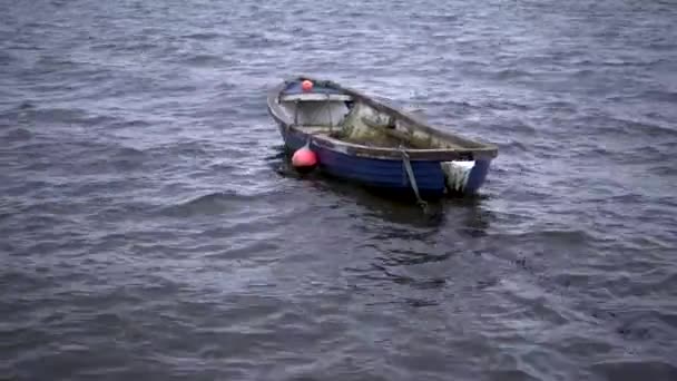 Barco Remos Balanceándose Ida Vuelta Mar Belfast Irlanda Del Norte — Vídeos de Stock