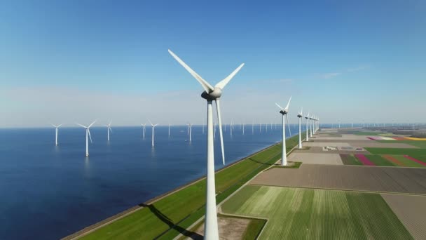 Turbinas Eólicas Campos Mar Urk Flevoland Países Baixos — Vídeo de Stock