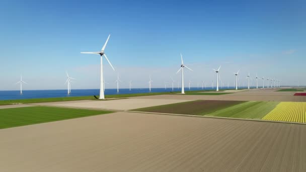 Turbinas Eólicas Campos Mar Urk Flevoland Países Baixos — Vídeo de Stock
