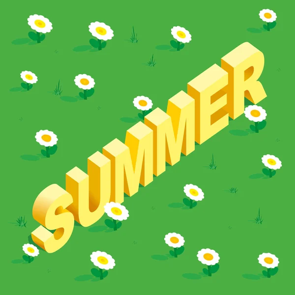Seamless simple flowers patterns. Word Summer written in the isometric view. — Stock Vector