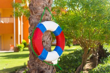 Havuzun yanında bir ağaç üzerinde asılı Lifebuoy