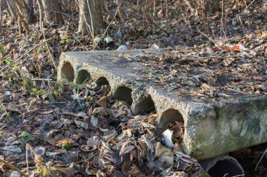 Eski ve bozuk beton bloklar ve bitki örtüsü üzerinde