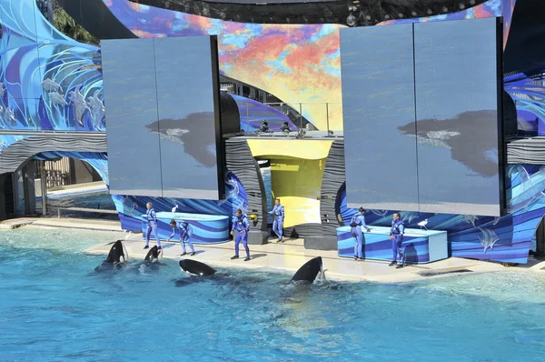 Show at Seaworld in San Diego — Stock Photo, Image