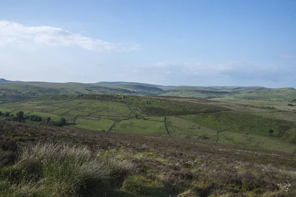 Fields in Peak District — Stock Photo, Image