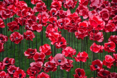 'Blood Swept Lands and Seas of Red'