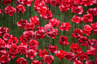 'Blood Swept Lands and Seas of Red'
