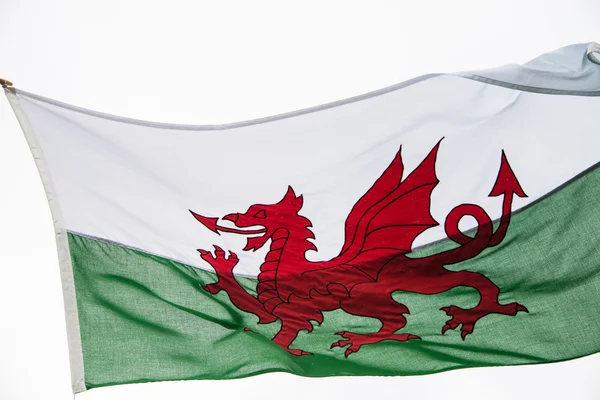Welsh vlag — Stockfoto