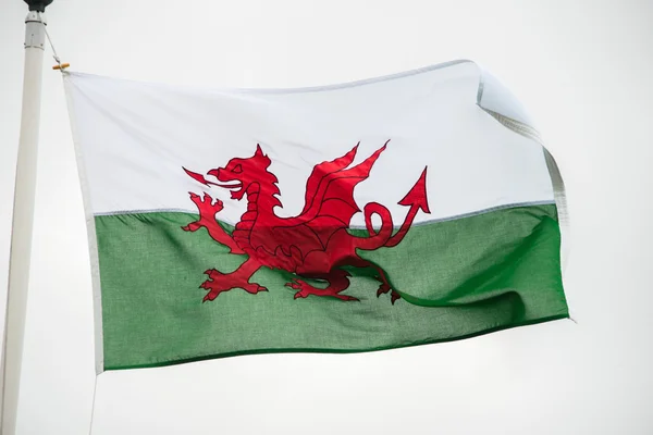 Welsh flag — Stock Photo, Image