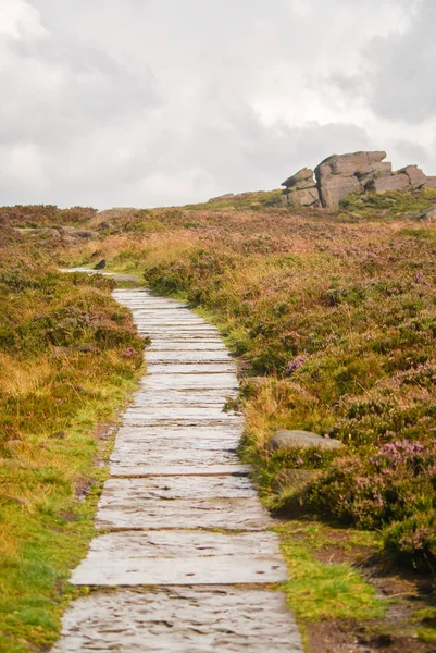 Winding path — Stock Photo, Image