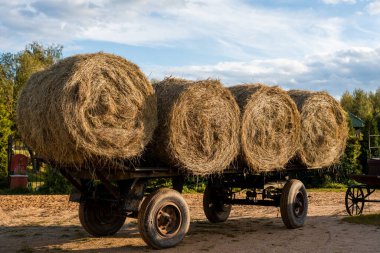 A row of large round hay bales is neatly arranged on a rustic wagon at a farm. The sky is clear with some clouds, creating a peaceful countryside atmosphere