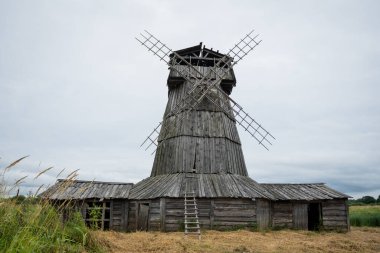 Kırsal ahşap yel değirmeni yemyeşil kırsalda, aşırı büyümüş çimlerle çevrili duruyor. Yaşlanmış kereste ve geleneksel tasarımı tarihsel tarım uygulamalarını ve kırsal yaşamı çağrıştırıyor..