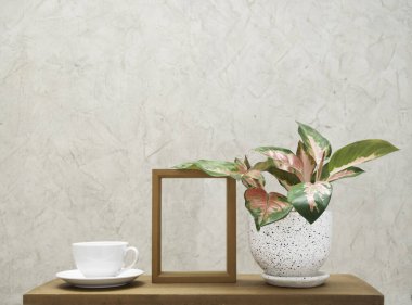 Beyaz kahve fincanı, ahşap çerçeve ve Aglaonema ev bitkisi (Çin Evergreen) ahşap masa üzerindeki çimento duvar arka planlı çiçek saksı süslemesi