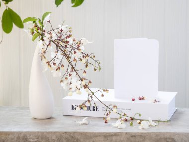 Beyaz davetiye kartı ve modern vazodaki güzel Clerodendron çiçekleri beyaz ahşap arka planda çimento masaya dizilmiş, tebrik kartı yumuşak tonda.