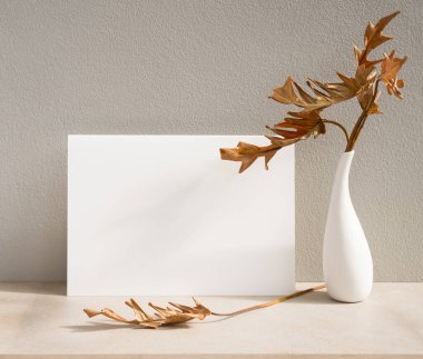 Modern vazodaki beyaz kart ve egzotik Philodendron kuru yapraklarını somut arkaplan, yeryüzü tonunda tebrik kartı ve uzun gölgeli yaşam şeklinde düzenle.