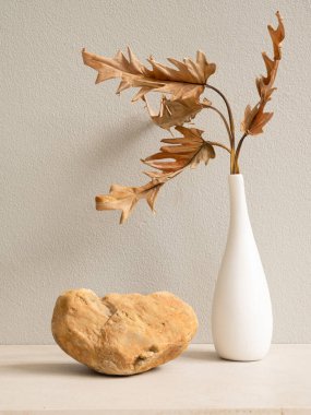Taş podyum ürünler ve kuru yapraklar için Philodendron xanadu botanik ev bitkisi mermer masa ve çimento duvar arka planında güzel beyaz seramik vazoda 