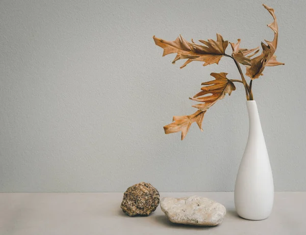 用于产品和干叶的石台 银桌上漂亮的白色陶瓷花瓶和水泥墙底座上的热带草木植物 — 图库照片
