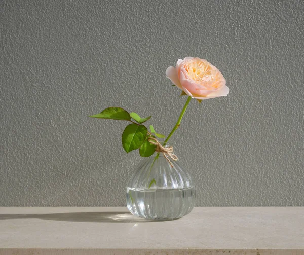 Bela Rosa Pastel Vaso Vidro Com Sombra Longa Agradável Topo — Fotografia de Stock