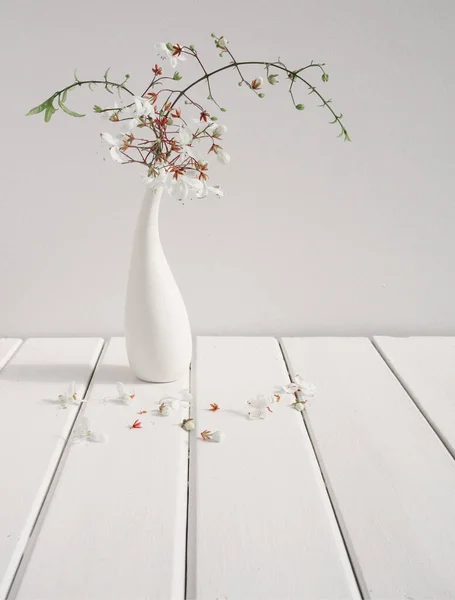 Beautiful Nodding Clerodendron Flowers Modern White Ceramic Vase Wooden Table — Stock Photo, Image