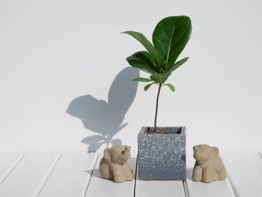 Mininmal stylish elephant statue and houseplant in modern  pot on white wood table  room interior,Fiddle leaf Fig or Ficus Lyrata exotic tree space for products clipart