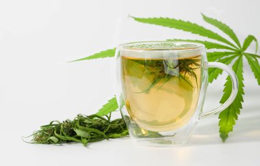 Esrar, bitkisel çay fincanı, marihuana taze yeşil yapraklar ve beyaz arka planda cam bardakta tomurcuk, CBD tıbbi içecek.
