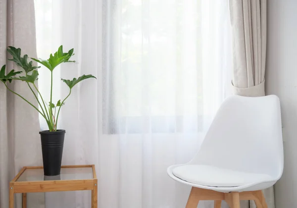Moderner Weißer Stuhl Und Philodendron Selloum Weißen Wohnzimmerinterieur Mit Weichem — Stockfoto