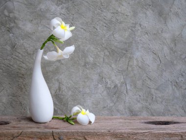 Modern seramik beyaz vazodaki güzel Frangipani spa çiçeği ahşap masa çimento duvar arka planında