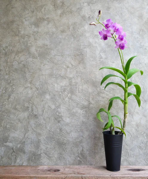 Hermosas Orquídeas Moradas Florecen Maceta Moderna Sobre Estante Madera Rústico — Foto de Stock