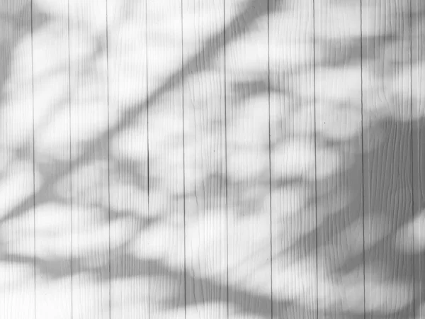 Abstracte Aard Van Bladeren Schaduwen Houten Achtergrond Reflecteren Witte Muren — Stockfoto