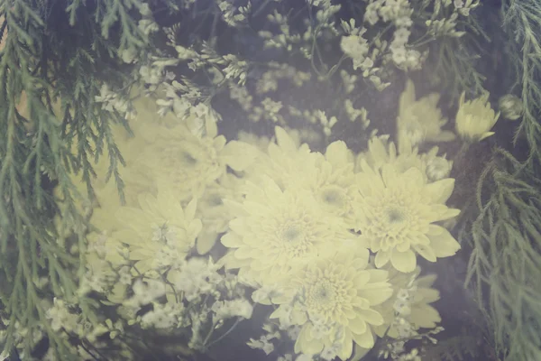 Vintage chrysant bloem boeket zachte achtergrond — Stockfoto