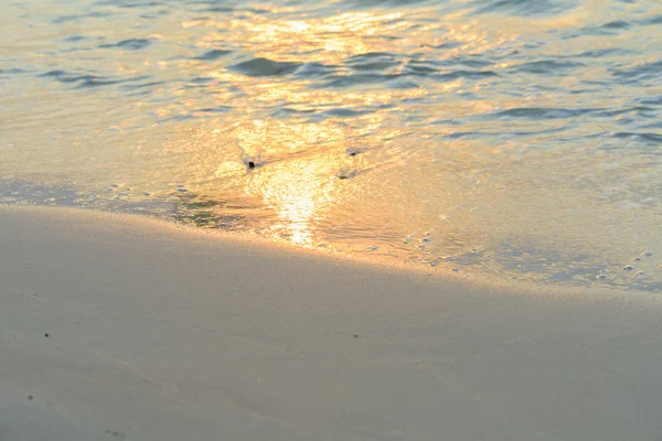 Luz dourada refletida no fundo da praia de areia branca ao amanhecer — Fotografia de Stock