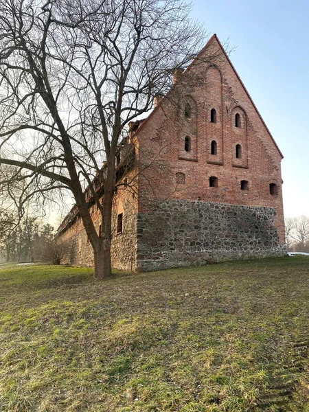 Preussisch Eylau Várának Forburgja Teuton Lovagok Forburg Kastélyának Romjai — Stock Fotó