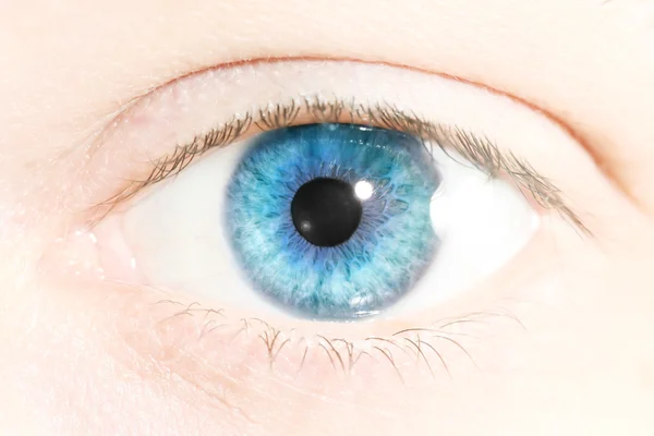 Bir insan gözü closeup — Stok fotoğraf
