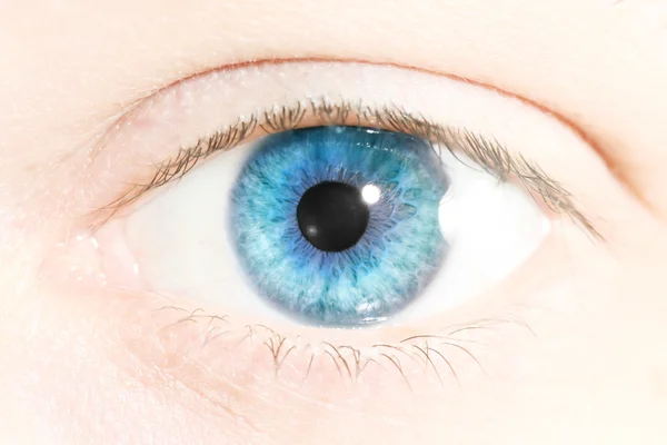 Closeup of a human eye — Stock Photo, Image